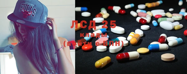 ПСИЛОЦИБИНОВЫЕ ГРИБЫ Баксан