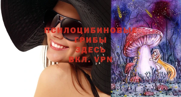 бошки Балахна