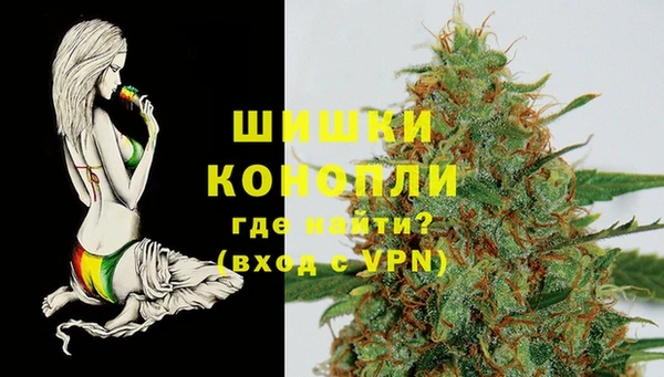 ПСИЛОЦИБИНОВЫЕ ГРИБЫ Баксан