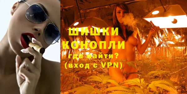 ПСИЛОЦИБИНОВЫЕ ГРИБЫ Баксан