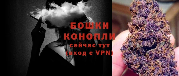 ПСИЛОЦИБИНОВЫЕ ГРИБЫ Баксан