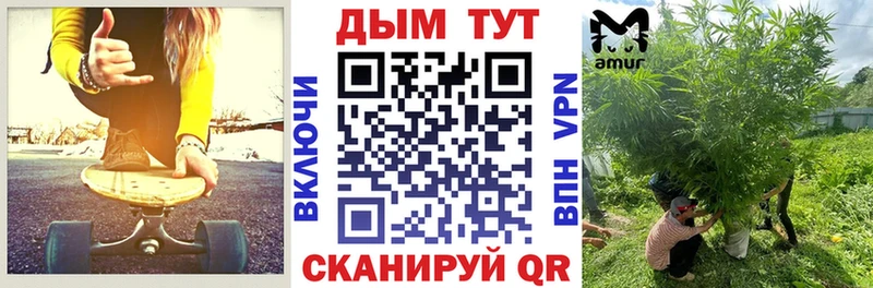 наркотики  Городище  Конопля конопля 